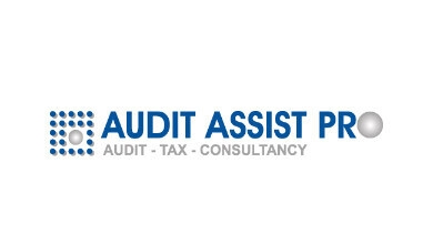 Audit Assist Pro Logo